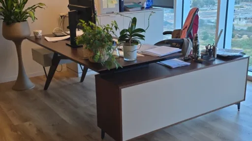 lewis office 